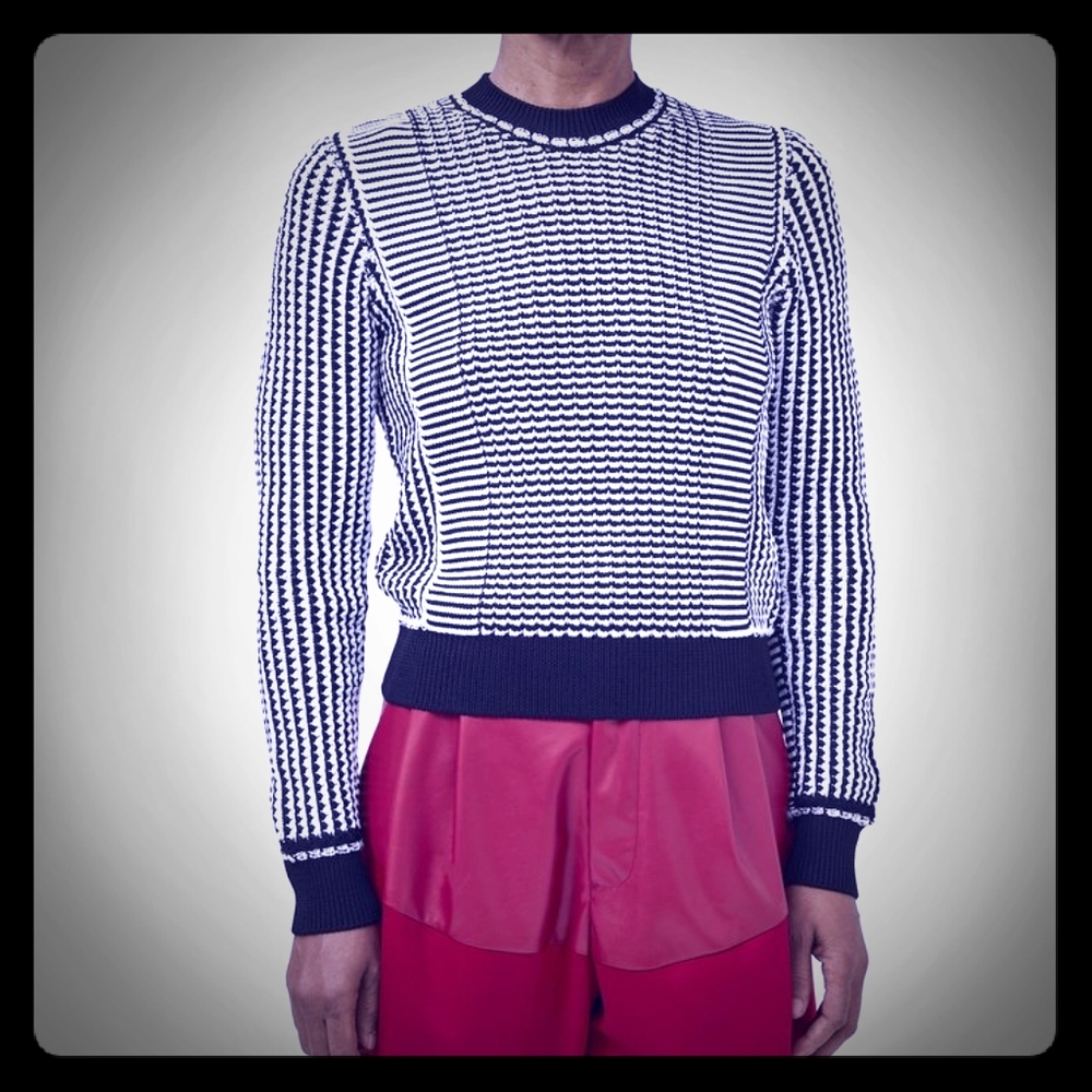 NWOT Rachel Comey blue & white striped sweater